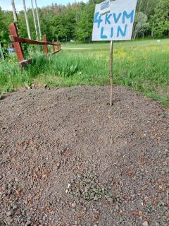 1 vecka - Linet har börjat komma upp.
