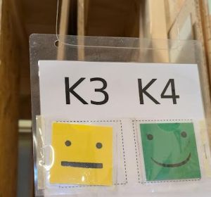 exempelbild grönt och gult kort